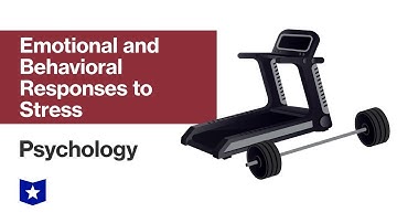 Emotional and Behavioral Responses to Stress | Psychology