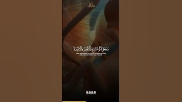 أفضل تلاوة للقرآن الكريم | سورة الملك الآية 23 | شفاء وطمأنينة