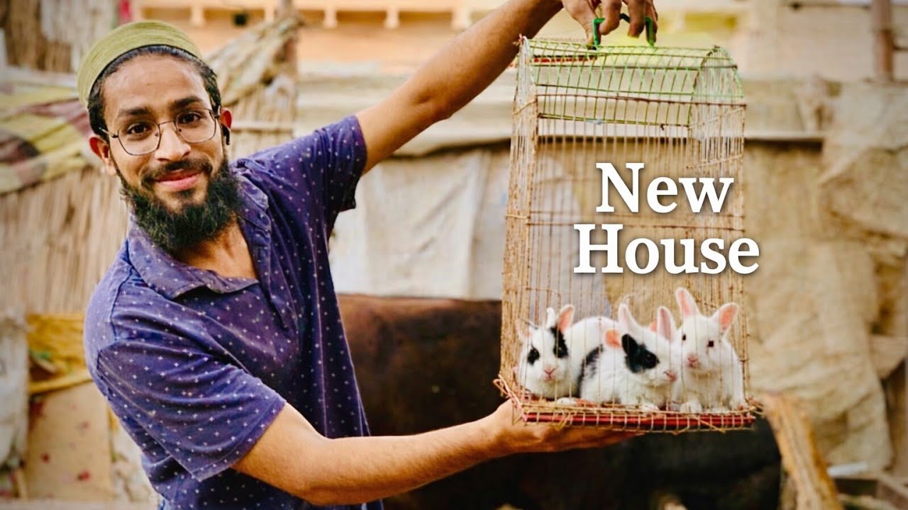 Khargosh ne ke bacchon 🐇😍 ko yah house mein shift kar diya 🥳🥳🐇