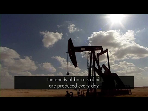 Watch: Shell Oman: a natural way to filter water