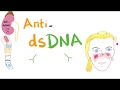 Antidouble stranded dna antidsdna antibodies