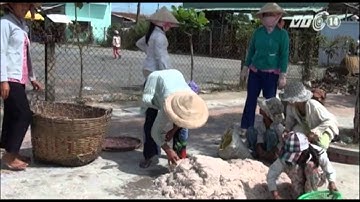 VTC14_7. Bạc Liêu: Ngư dân liên tiếp trúng mùa ruốc