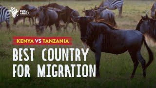 Kenya vs Tanzania: Best Country for The Wildebeest Migration