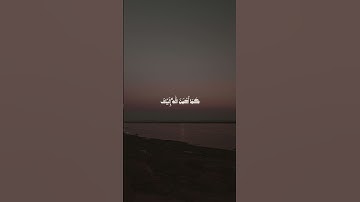 محمد ديبيروف تلاوة خاشعة | وَابْتَغِ فِيمَا آتَاكَ اللَّهُ الدَّارَ الْآخِرَةَ ۖ