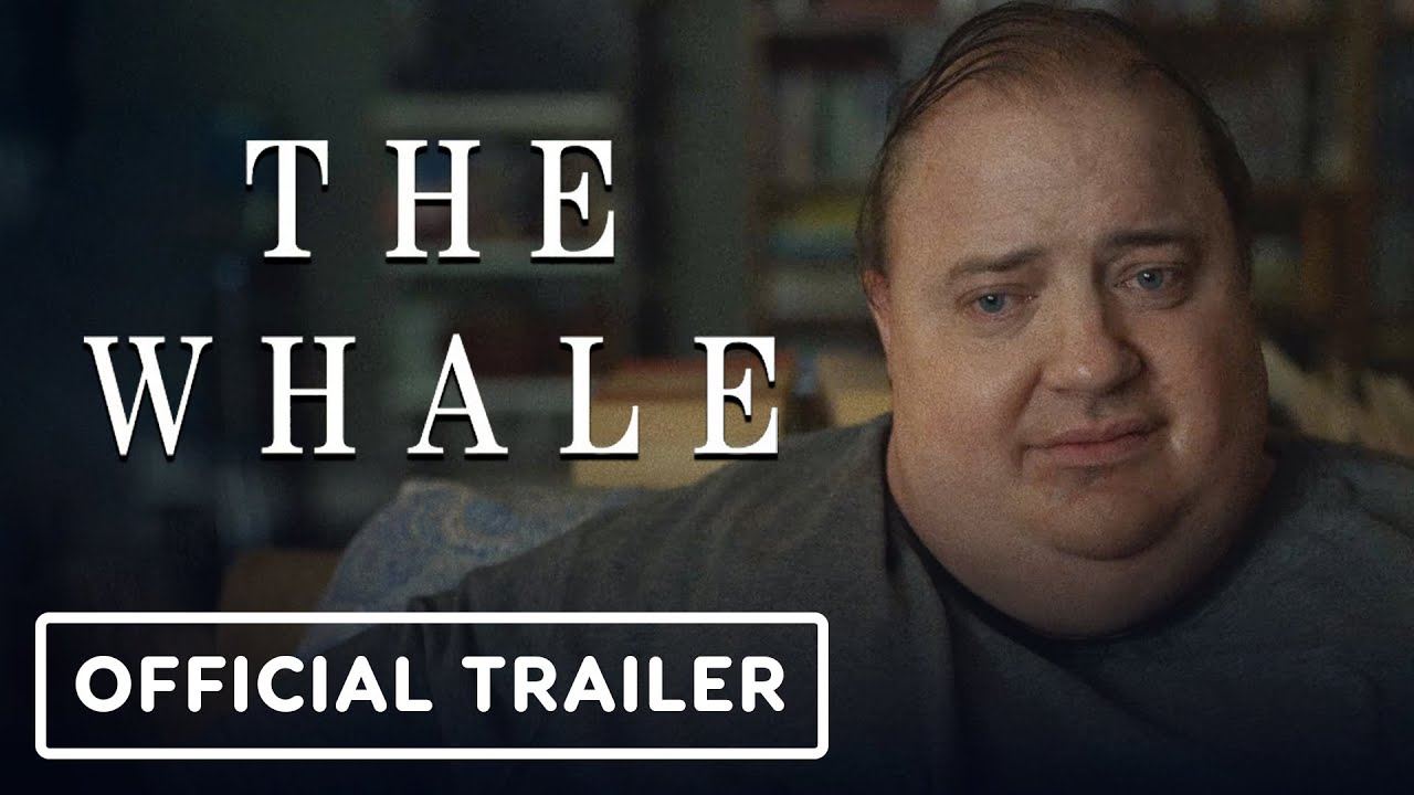 Everything You Need To Know About The Whale Movie – JYZXLK