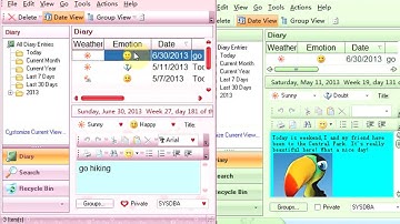 Efficient Diary Network Guide