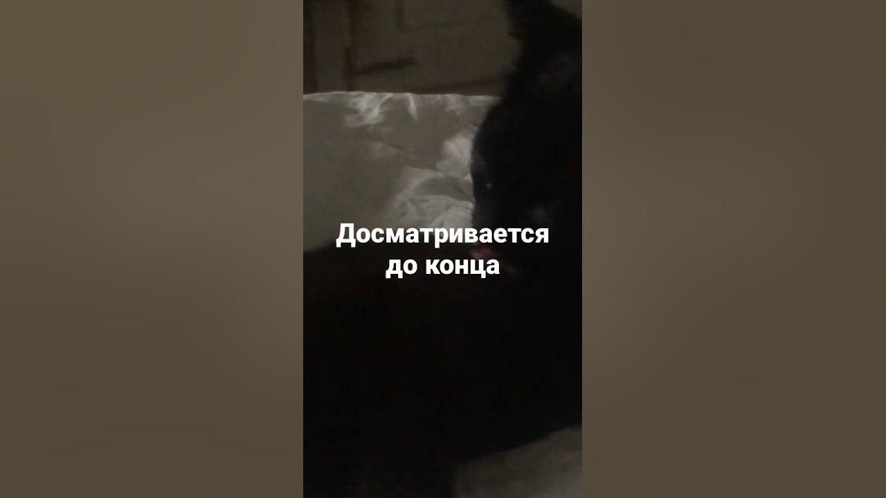 Акелла - YouTube