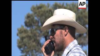In Ely, Nevada hundreds of wild horses are rounded up by helicopters and workers on the ground. Thos