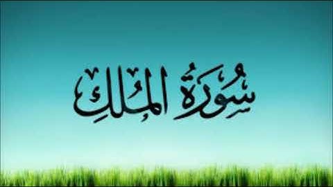 سورة الملك بصوت الشيخ أبو بكر الشاطرى