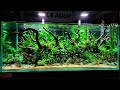 Weekaqua  t70  high performance led aquarium ligh