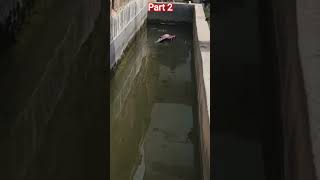 RC Boat Testing Speed Run / RC Boat Speed Test 🔥 Full Power Run part 2 #shorts