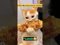My Situation In School🥴😵‍💫 #cat #catvideos #catshorts #cats #funny