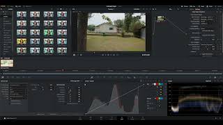 Quick Color Grading BRAW in DaVinci Resolve Net Worth