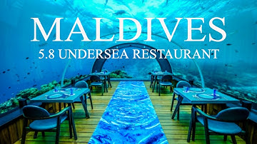 Dining Under The Sea: Hurawalhi Maldives