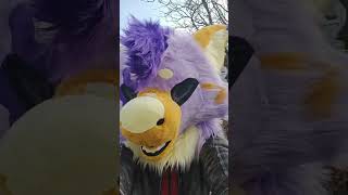 Pax just wants to get more Manokit friends #furry #fursuit #fursona