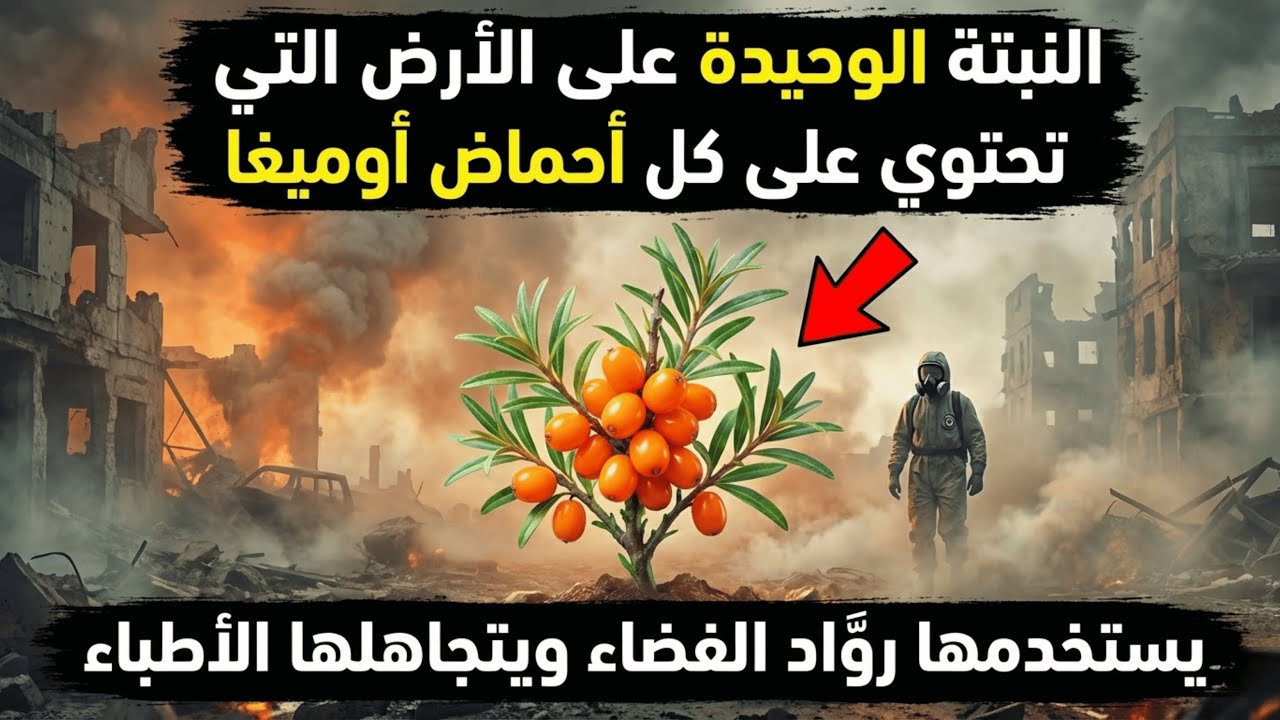 أقوى من السلمون: النبات الوحيد على وجه الأرض الذي يجمع الأوميغا الأربعة!