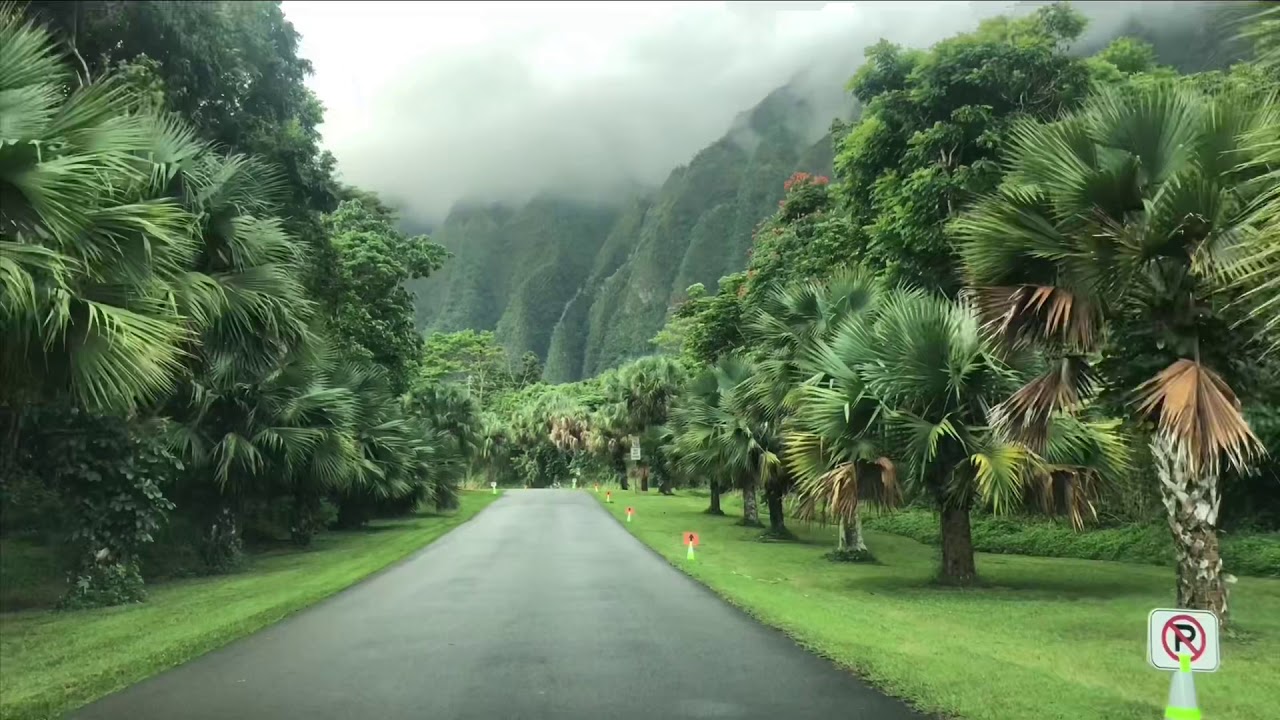 Hawaii Travel Guide Ho Omaluhia Botanic Garden Oahu Hawaii Day