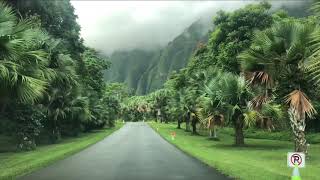 Hawaii travel guide - Ho’omaluhia Botanic Garden. Oahu Hawaii Day 2.