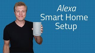 how to set up alexa groups