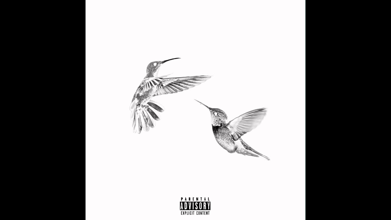 Abraxaz - Explore the Night