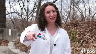 Citizen Science At The Toronto Zoo - Solar Eclipse 2024