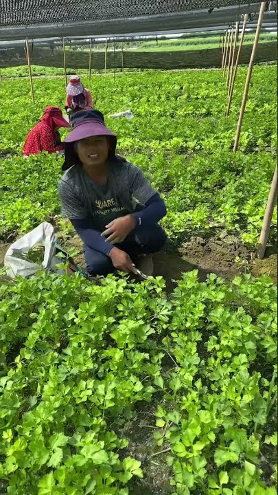 Keras nya kerja di Taiwan !!