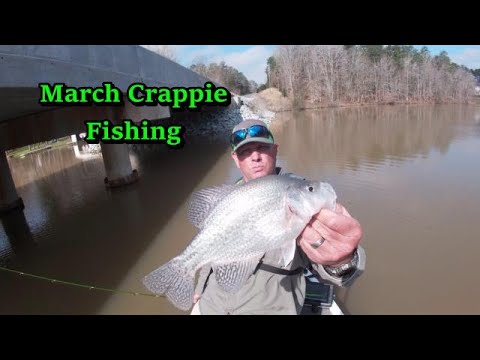 How to Catch Crappie in March/ How to catch early spring crappie/ Crappie  fishing on Hyco lake 