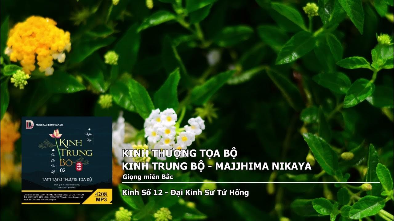 K.Số 12 – Ðại K.Sư Tử Hống giọng miền Bắc 