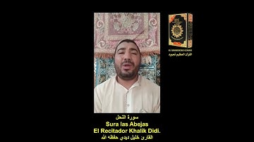 Sura las Abejas khalil Didi. . سورة النحل .القارئ خليل ديدي حفظه الله