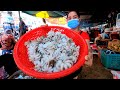 Buy Curly Octopus From Market For Stew Cooking - Market Tour - Cooking With Sros