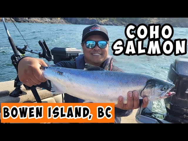Lights out ocean fishing for Coho Salmon. Fishing Bowen Island & Crabbing  Vancouver BC. 