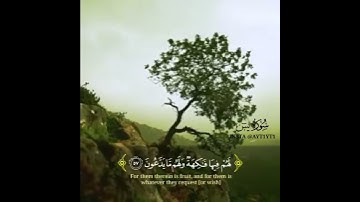 القارئ طارق محمد ارح قلبك بتلاوة القرأن من سورة يس