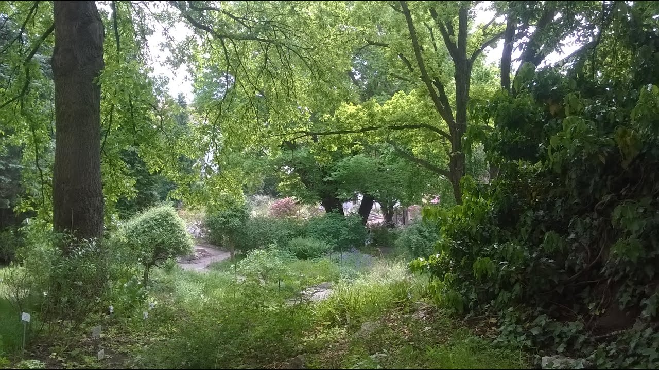 Hortus Botanicus Praha - YouTube