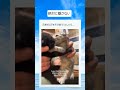 一緒に引き取られたそうです #shorts #おすすめ #猫 #兄弟 #cat