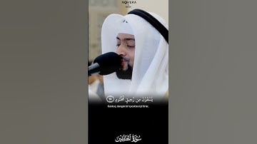 Ahmad alnufais || Surah Mutaffifin || أحمد النفيس || سورة المطففين  #اكسبلور #quranqoutes #kuran
