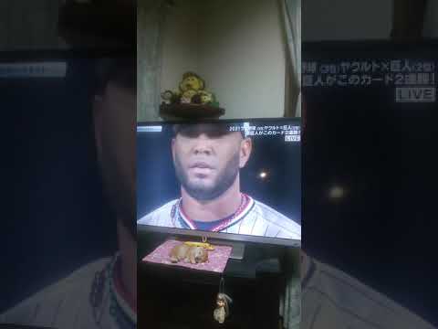 巨人対ヤクルトハイライト２０２１年4月２８日