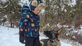 Bite Trained Dogs Dangerous to KIDS?