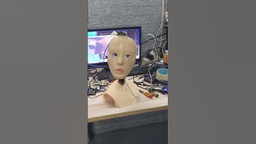 #Face Tracking Robot Head