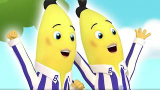 The Stained Cushion | Bananas in Pyjamas Season 2 | Full Episodes | Bananas In Pyjamas