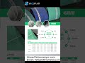 China SCplus Conveyor Belt Supplier