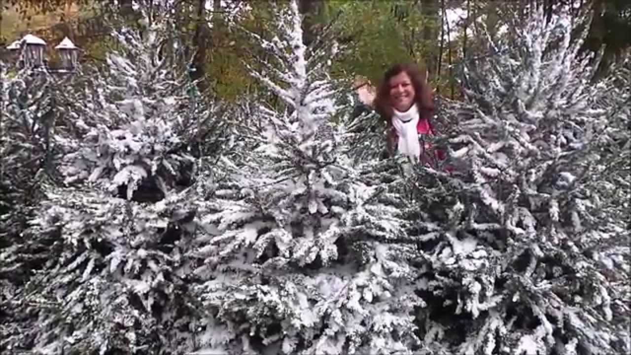 Quick look at the large hotel rooms in the STAYBRIDGE SUITES Albert Dock Liverpool England