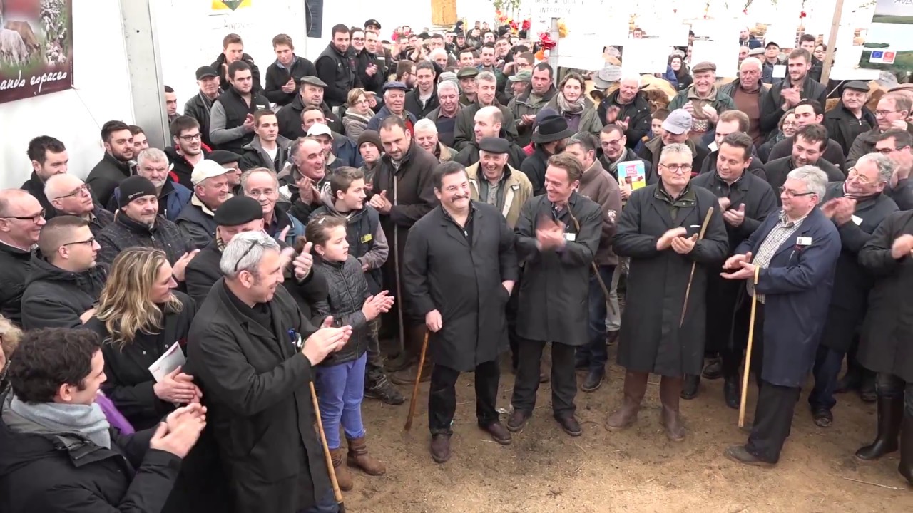 Le festival des boeufs gras