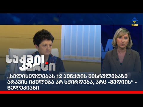 „ხელისუფლებას 12 პუნქტის შესრულებაზე არავის იძულება არ სჭირდება, არც-მედიის“ - წულუკიანი