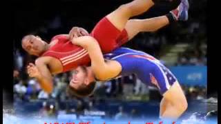 Wwe Wrestling Amazing Takedowns