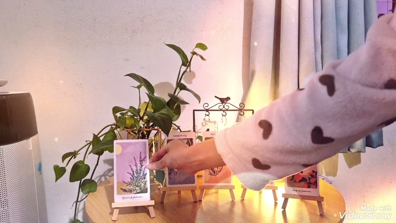 Trải bài Tarot cho ngày 19/02/2026