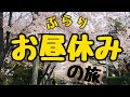 会社をサボって花見してみた。(津偕楽公園、桜満開!)