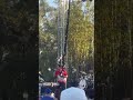 Smash Mouth at Busch Gardens Tampa Florida