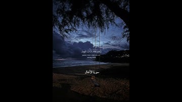 استغفر ُالله القارئ🌊#علي_جابر#سورة_الأنفال#القرآن_الكريم#قرآن#تلاوة_هادئة#quran