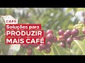 Soluções IHARA para a plantação de café.