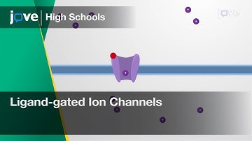 Ligand-gated Ion Channels | Cell Bio | Video Textbooks - Preview